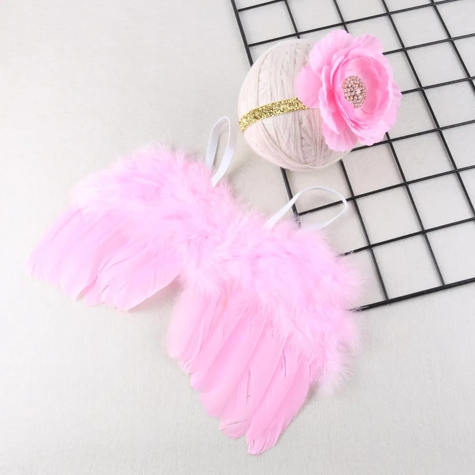 Photography Wing Set