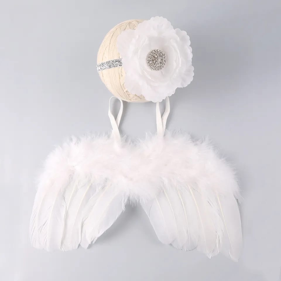 Photography Wing Set